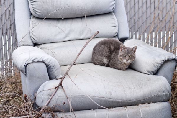 Recliner Disposal in Mequon